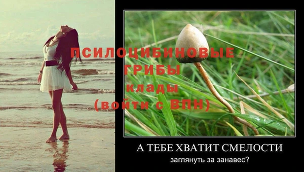 MDMA Premium VHQ Абдулино